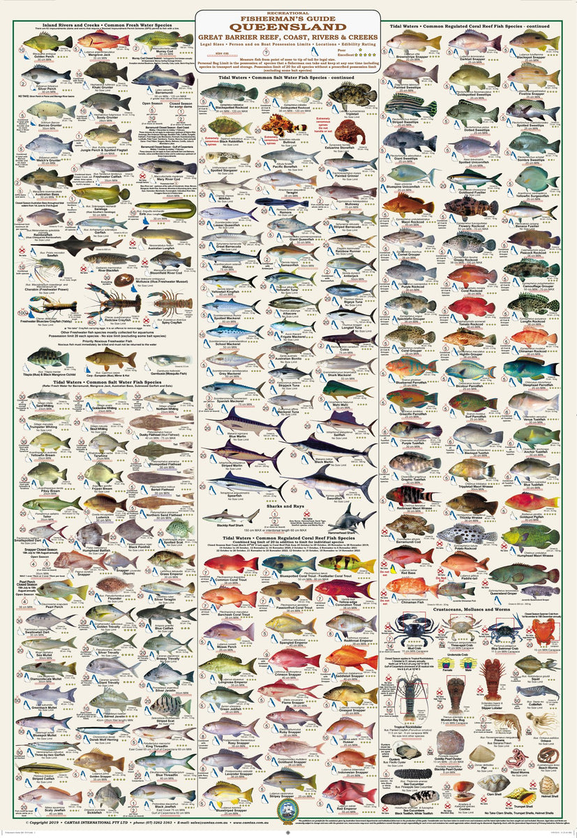 Fish ID Posters – The Navigation Centre, Townsville - Est 1970