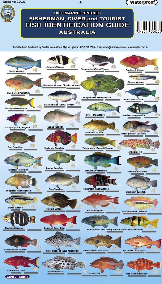 Fish ID Cards - Australia and Great Barrier Reef – The Navigation ...